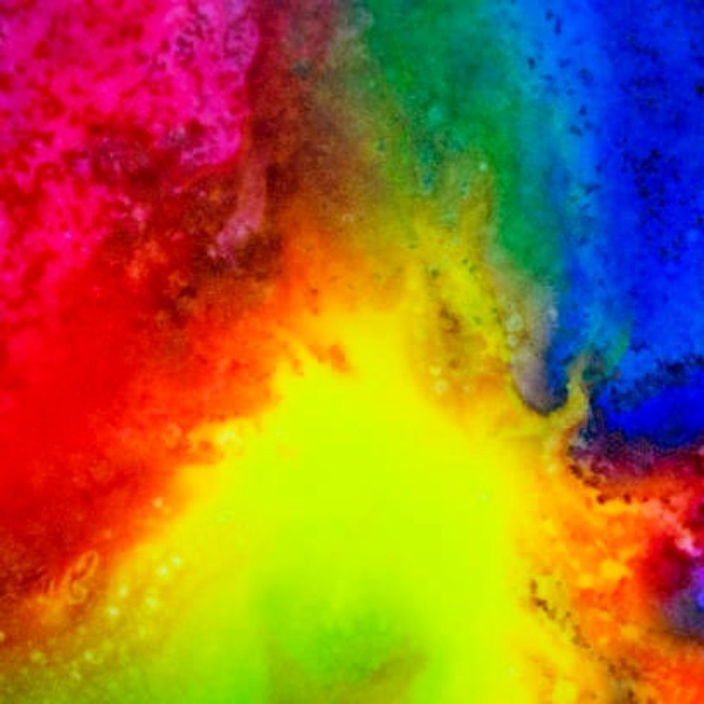 Meet your Posher, Jess